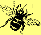 A Codemist Bee
